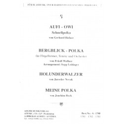 Bergblick-Polka