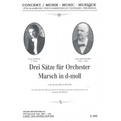Drei Sätze für Orchester & Marsch in d-moll